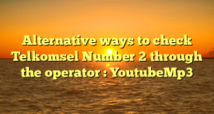 Alternative ways to check Telkomsel Number 2 through the operator : YoutubeMp3