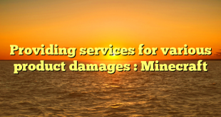 Providing services for various product damages : Minecraft