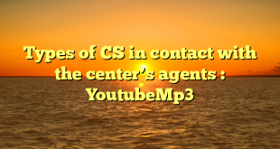 Types of CS in contact with the center’s agents : YoutubeMp3