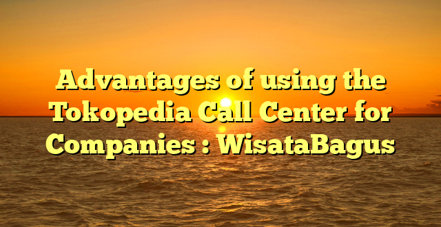 Advantages of using the Tokopedia Call Center for Companies : WisataBagus