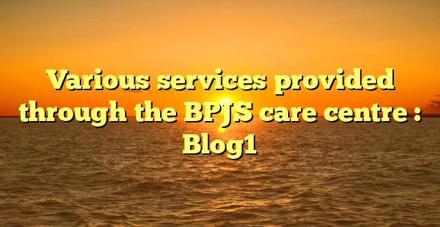 Various services provided through the BPJS care centre : Blog1