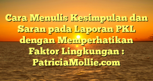 Cara Menulis Kesimpulan dan Saran pada Laporan PKL dengan Memperhatikan Faktor Lingkungan : PatriciaMollie.com