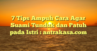 7 Tips Ampuh Cara Agar Suami Tunduk dan Patuh pada Istri : antrakasa.com