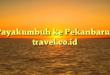 Payakumbuh ke Pekanbaru : travel.co.id