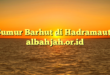 Sumur Barhut di Hadramaut : albahjah.or.id